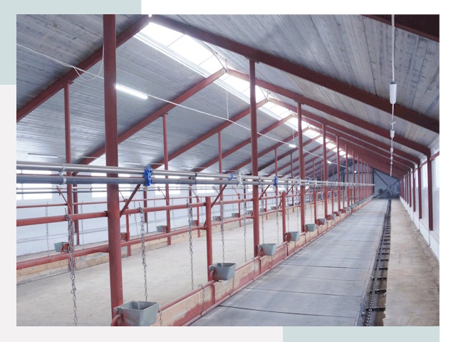 Строительство коровников в Саранске от 632 руб.