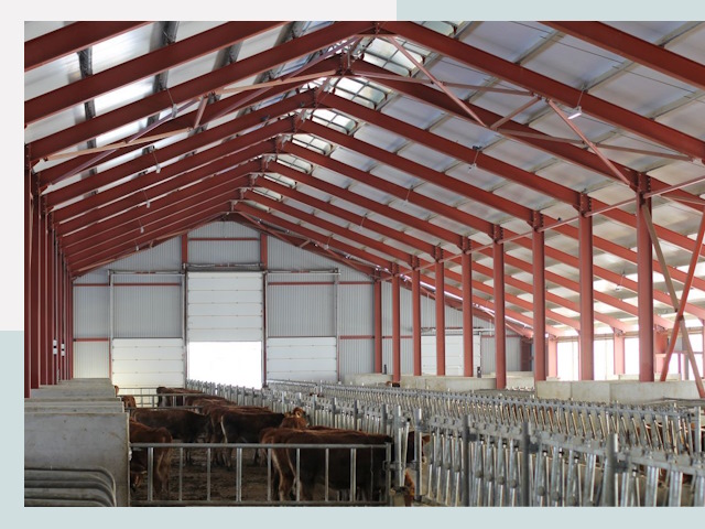 Строительство коровников в Саранске