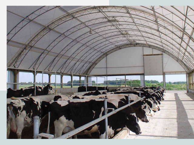 Тентовые коровники в Саранске